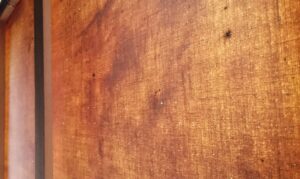 インスタレーション作品『Studio Wall』の画像