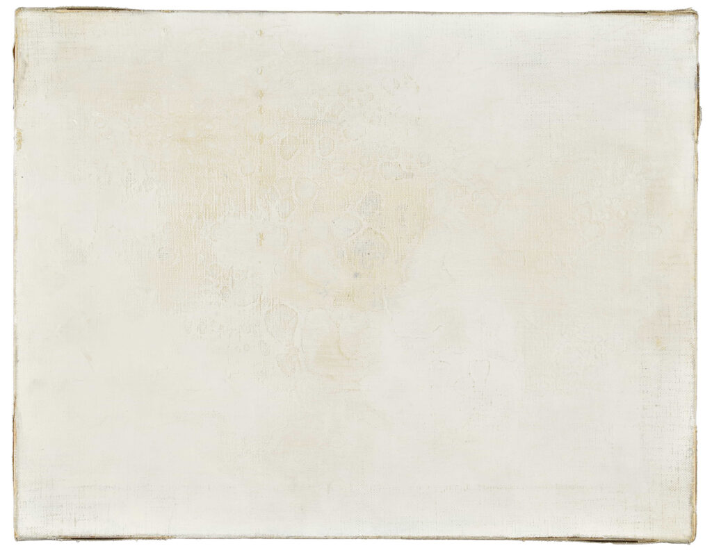 インスタレーション作品『canvas skin』の画像