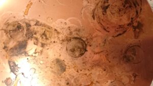 インスタレーション作品『Before Tea TIme』の画像