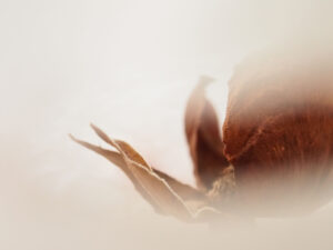 インスタレーション作品『An eyeball - practice』の画像