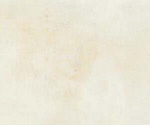 インスタレーション作品『Canvas skin』の画像