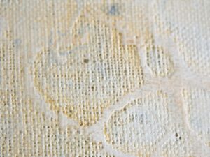 インスタレーション作品『Canvas skin』の画像