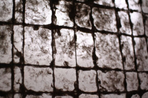 インスタレーション作品『透す窓』の画像