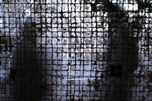 インスタレーション作品『透す窓』の画像