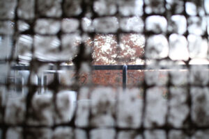 インスタレーション作品『透す窓』の画像