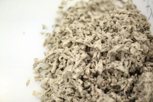 インスタレーション作品『window canvas』の画像