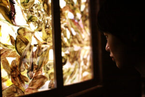 インスタレーション作品『私の中のあなたと』の画像