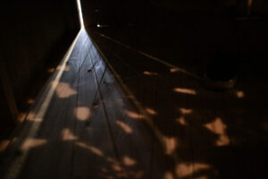 インスタレーション作品『私の中のあなたと』の画像