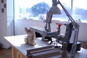 インスタレーション作品『あなたの家に、庭になる』東京芸大修了展の画像