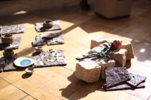 インスタレーション作品『あなたの家に、庭になる』東京芸大修了展の画像