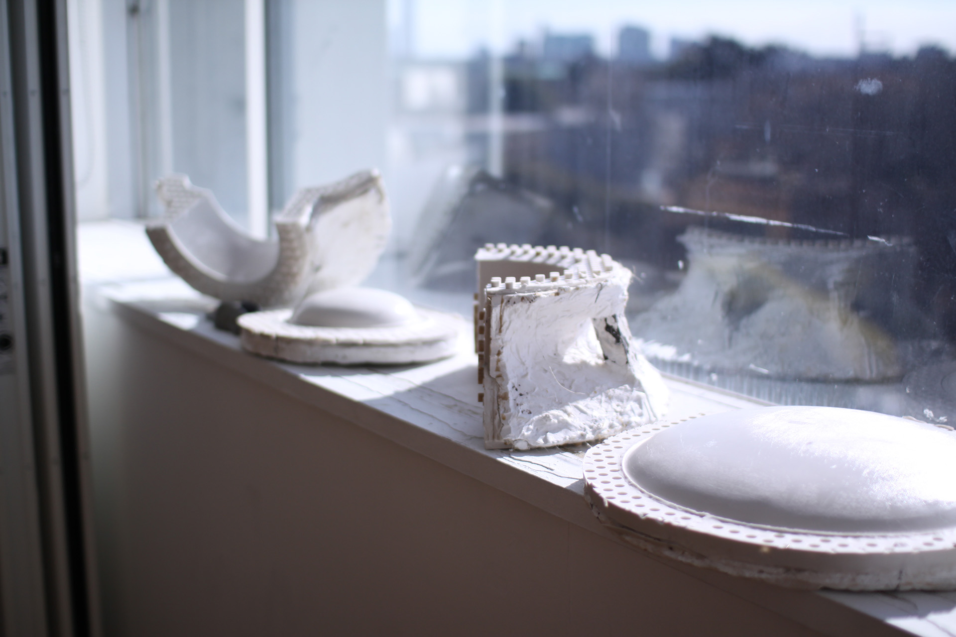 インスタレーション作品『あなたの家に、庭になる』東京芸大修了展の画像