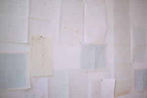 インスタレーション作品『あなたの家に、庭になる』の画像