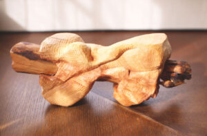 インスタレーション作品『あなたのために作っていたい無理な部分があるのは知っているんだけど精一杯やらせてもらうよ』の画像