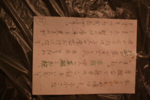 インスタレーション作品『実体のない小腹満たし』の画像