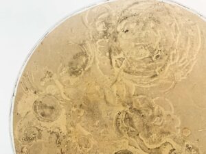 インスタレーション作品『Before Tea TIme』の画像