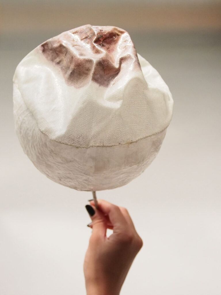 インスタレーション作品『An eyeball - practice』の画像