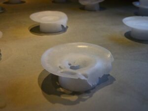 インスタレーション作品『FISH SPINE』の画像