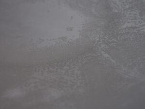 インスタレーション作品『FISH SPINE』の画像