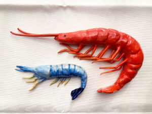 インスタレーション作品『明日のランチタイムまでに』の画像